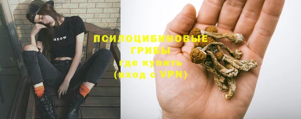 Альфа ПВП Армянск
