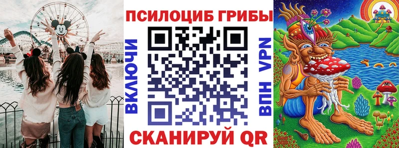 Галлюциногенные грибы Psilocybine cubensis  Ельня 